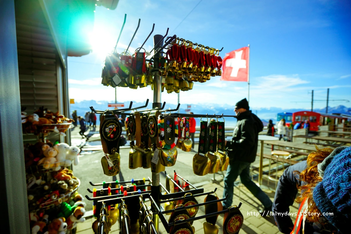 2558143B55460966128597