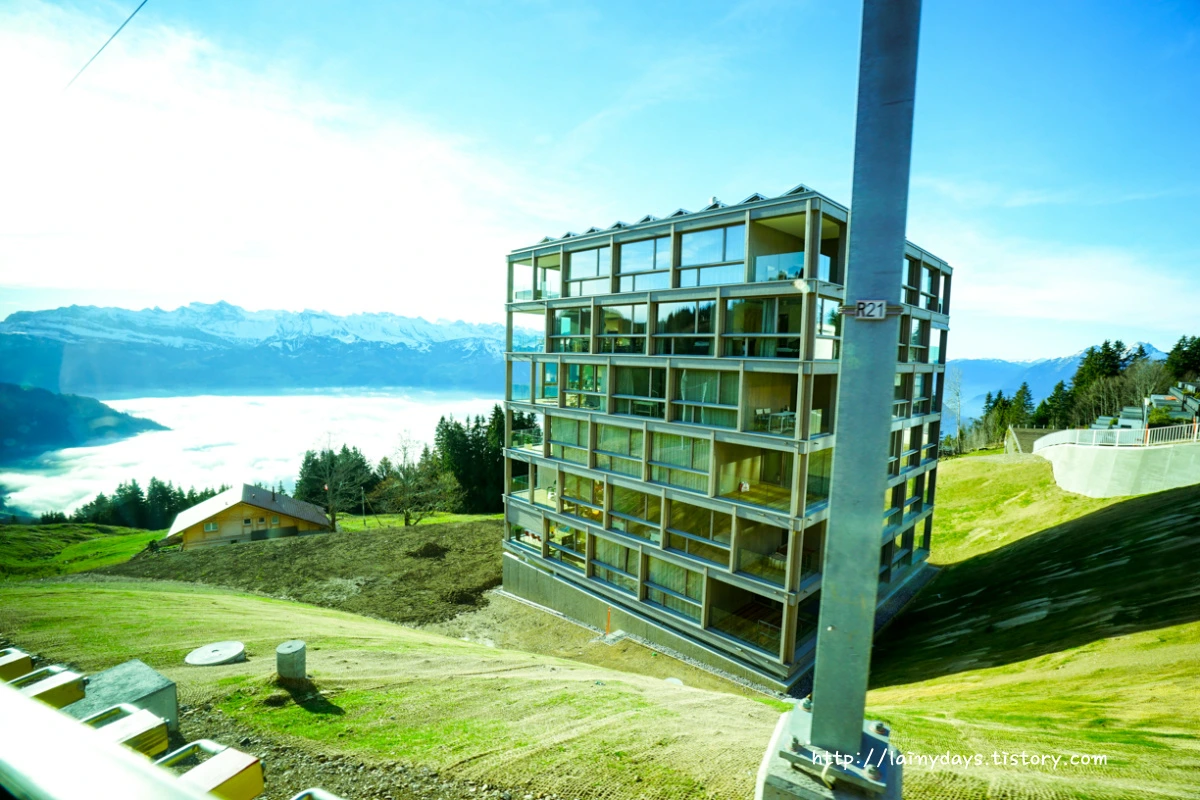 261C5A3E5545BDF1019D24