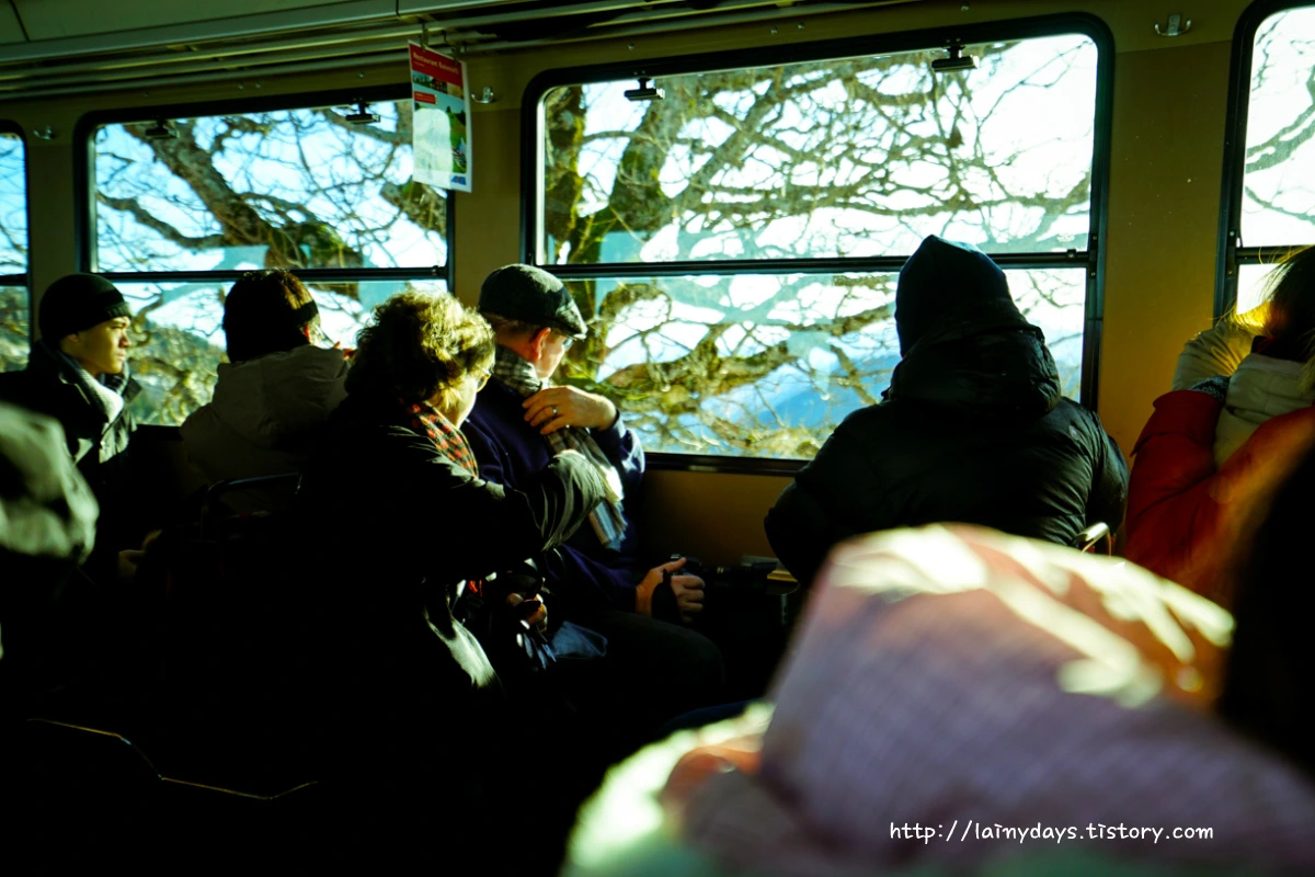 2268103E5545BDF51C1E62