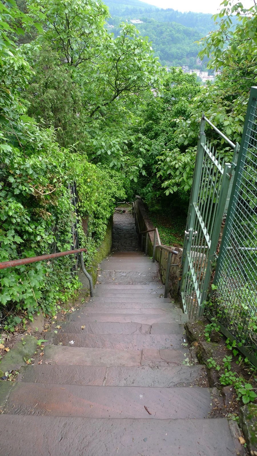 23195445537CCEF12AD204