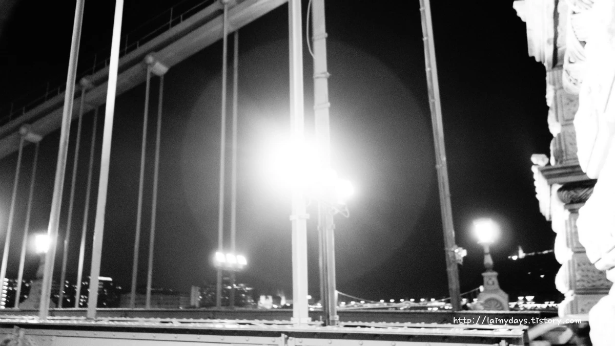 222ACA3F5542219D358BF7