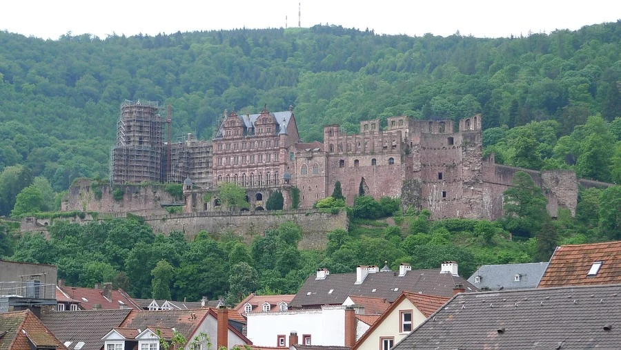 25216547537CCEDC0827CD