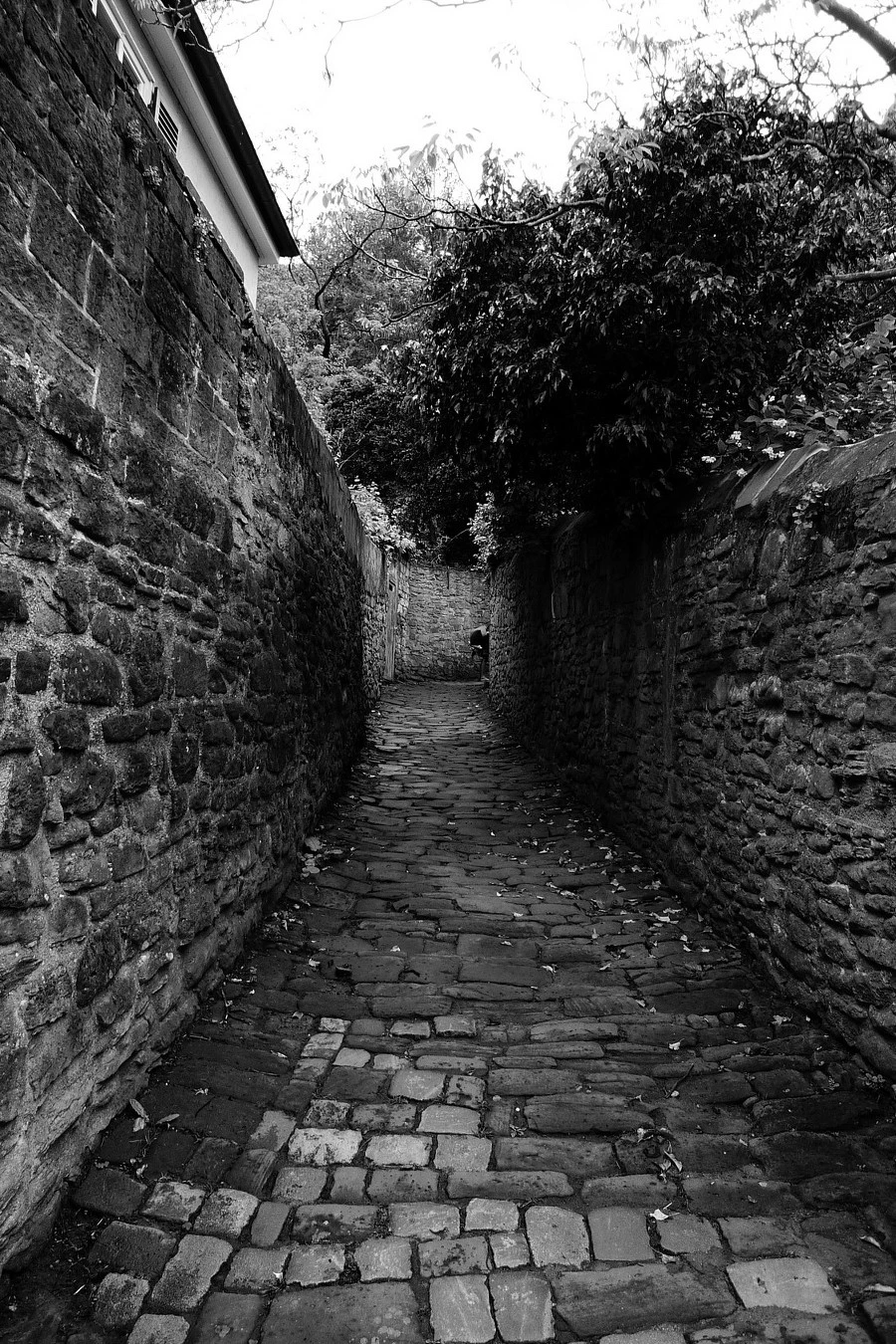 253CF441537CCEE51652FB