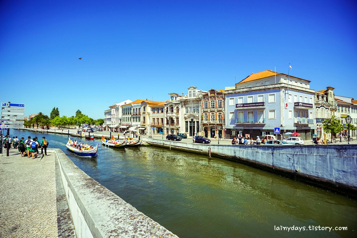 25279E3855CC8AB912C457