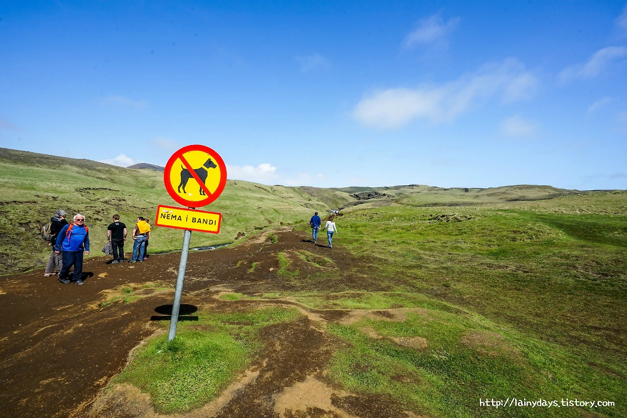 225D9B3657DD2DE512A1ED