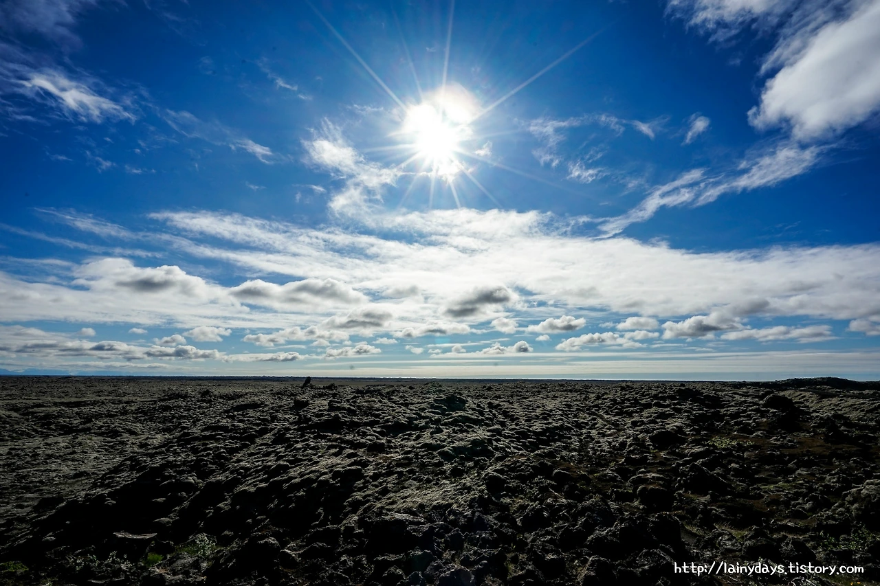 244F8A4558268BB50FE523