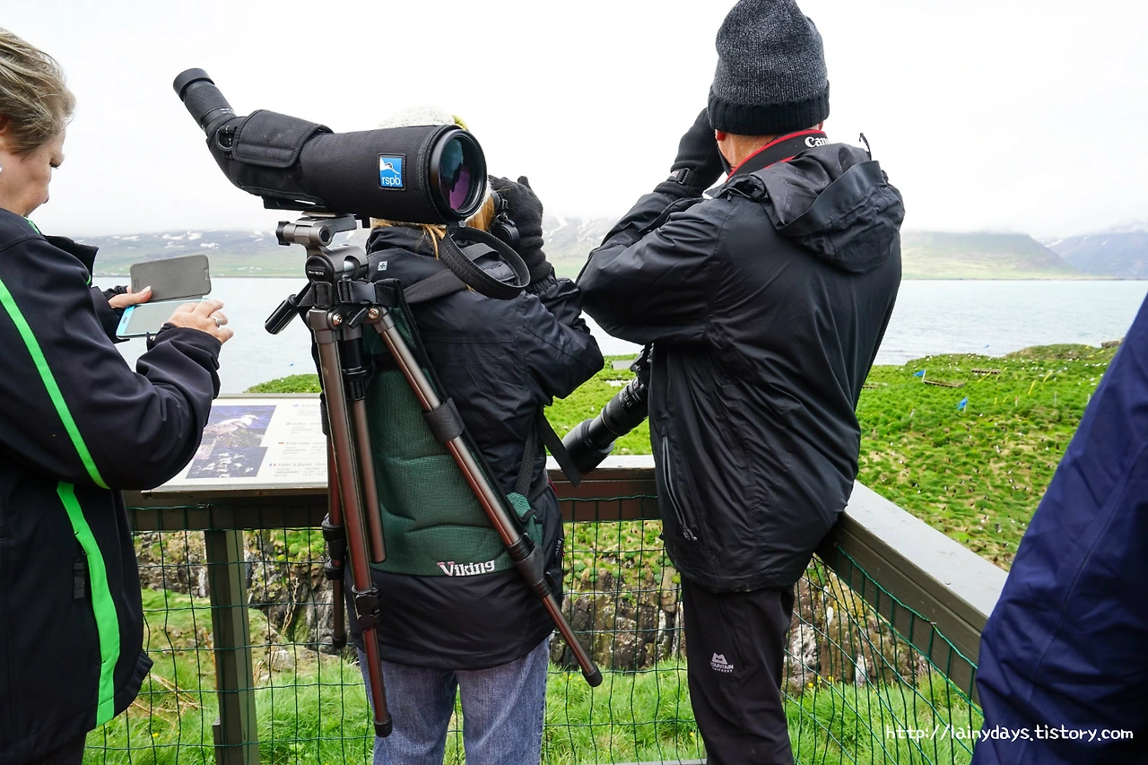 99032B3359D9C8191A31CA