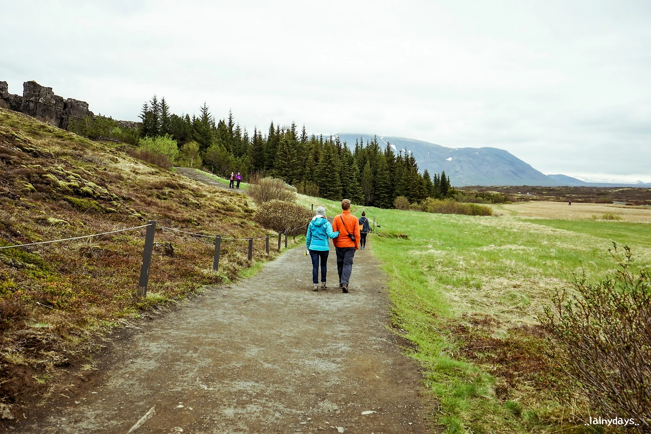 2379A43B57949DF7124D92