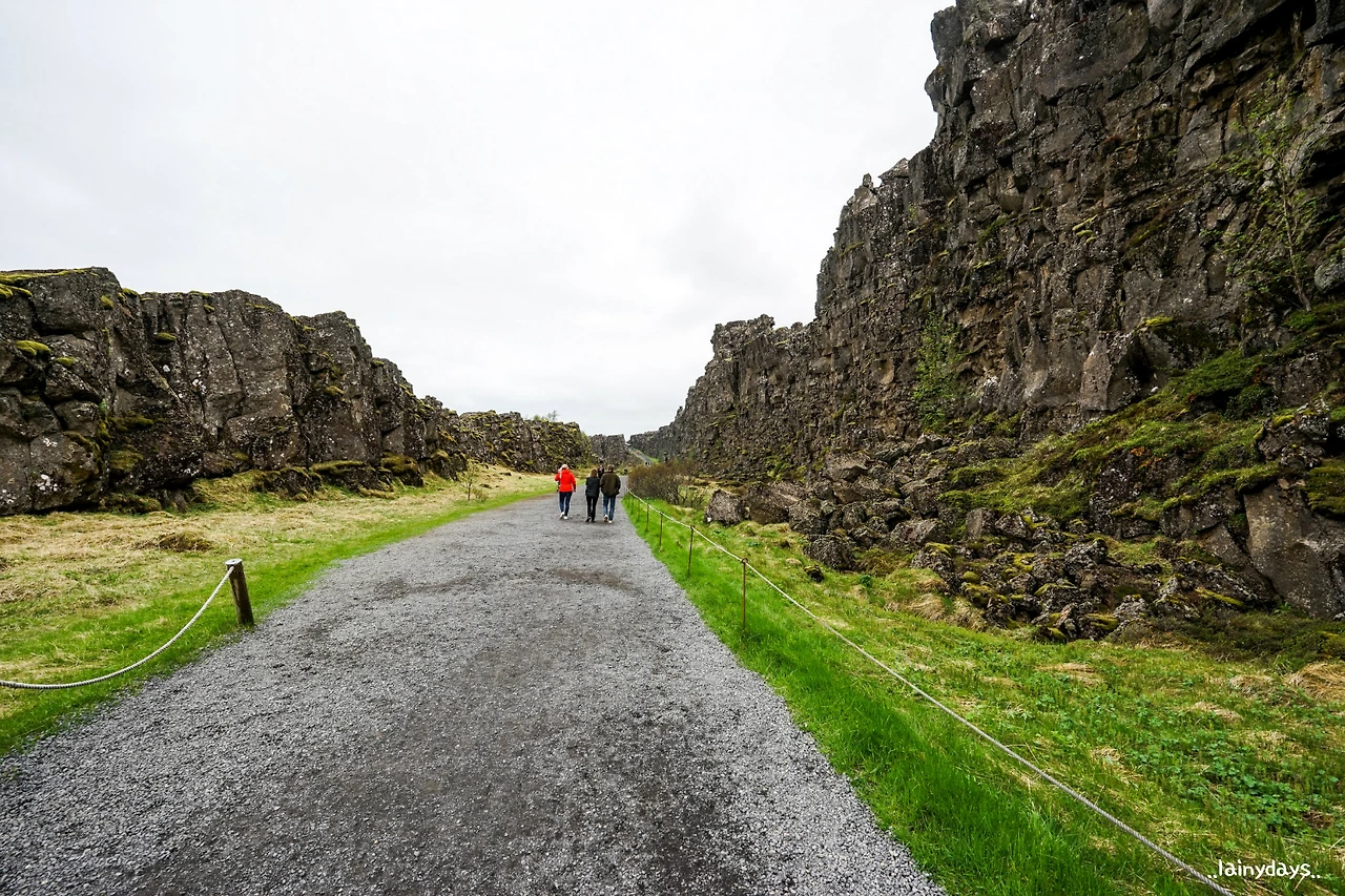 2166A54657949E610F399A