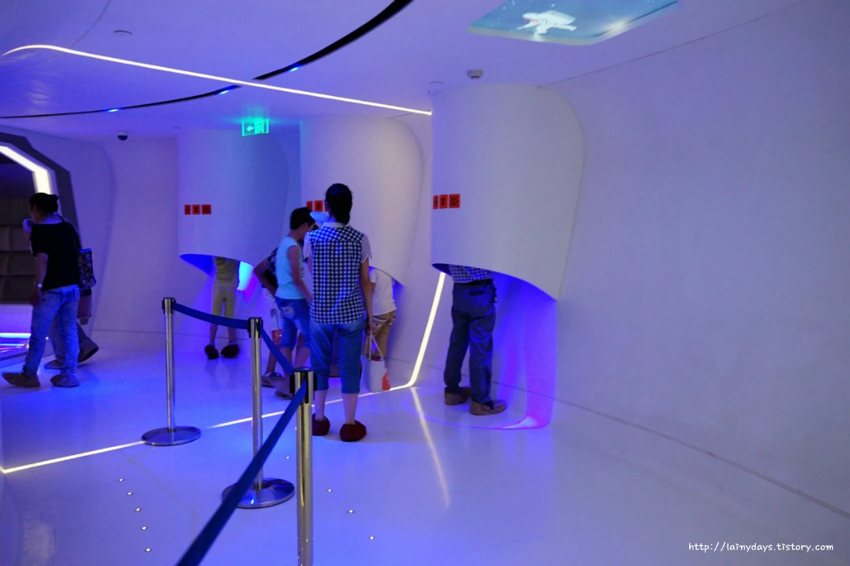 26571E495536436714A761