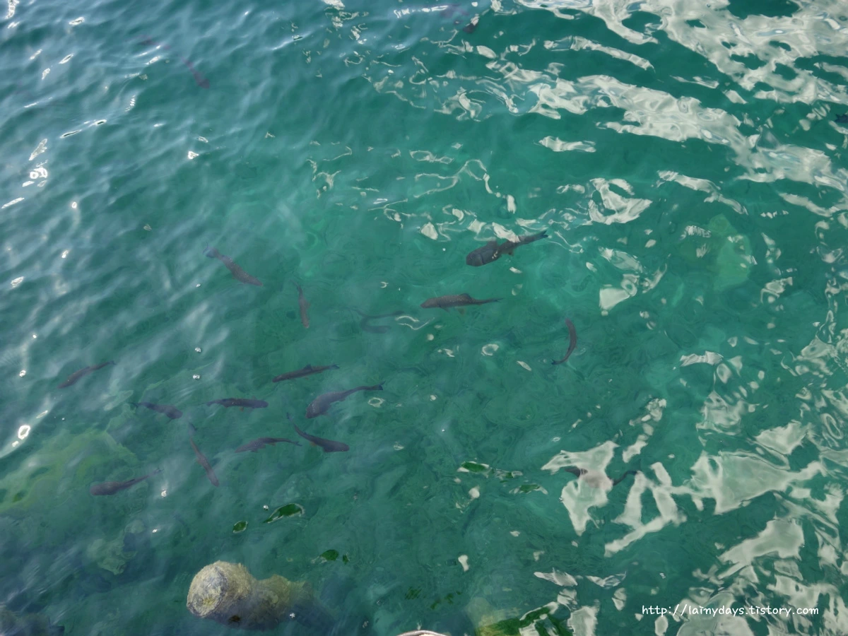 237B1B4B553F7941263F53