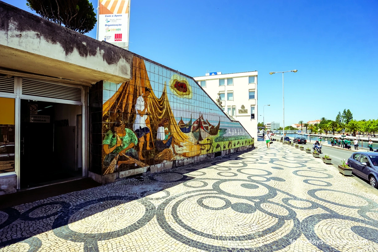 2622103855CC8ABC163A42