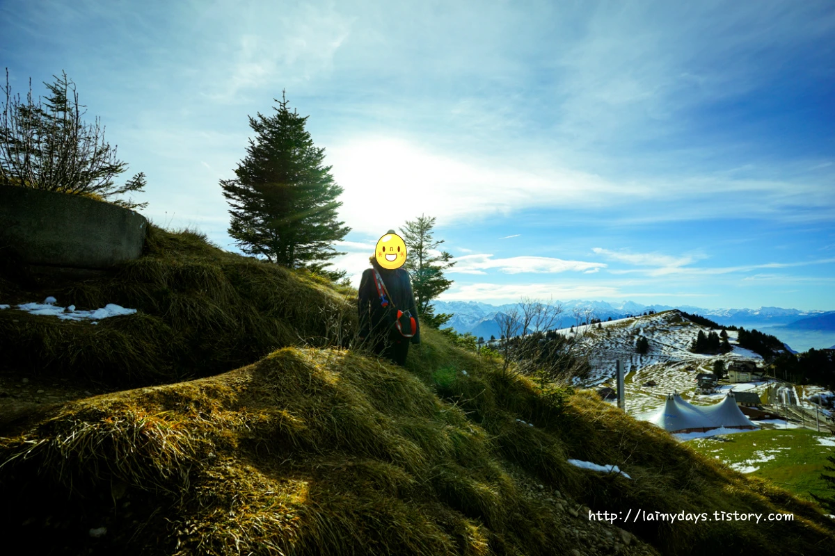 2560E03455460F3A2644E0