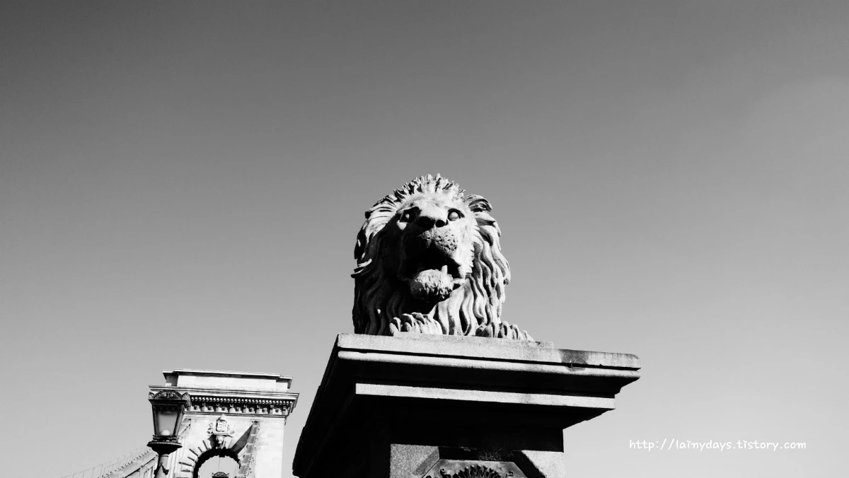 227D93395542153209D883