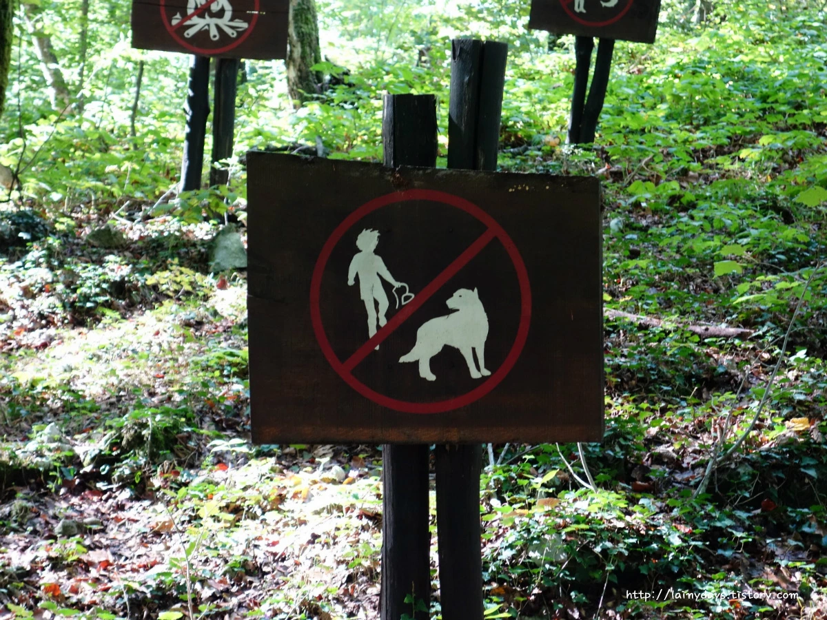 2147C950553F791E04DCE9