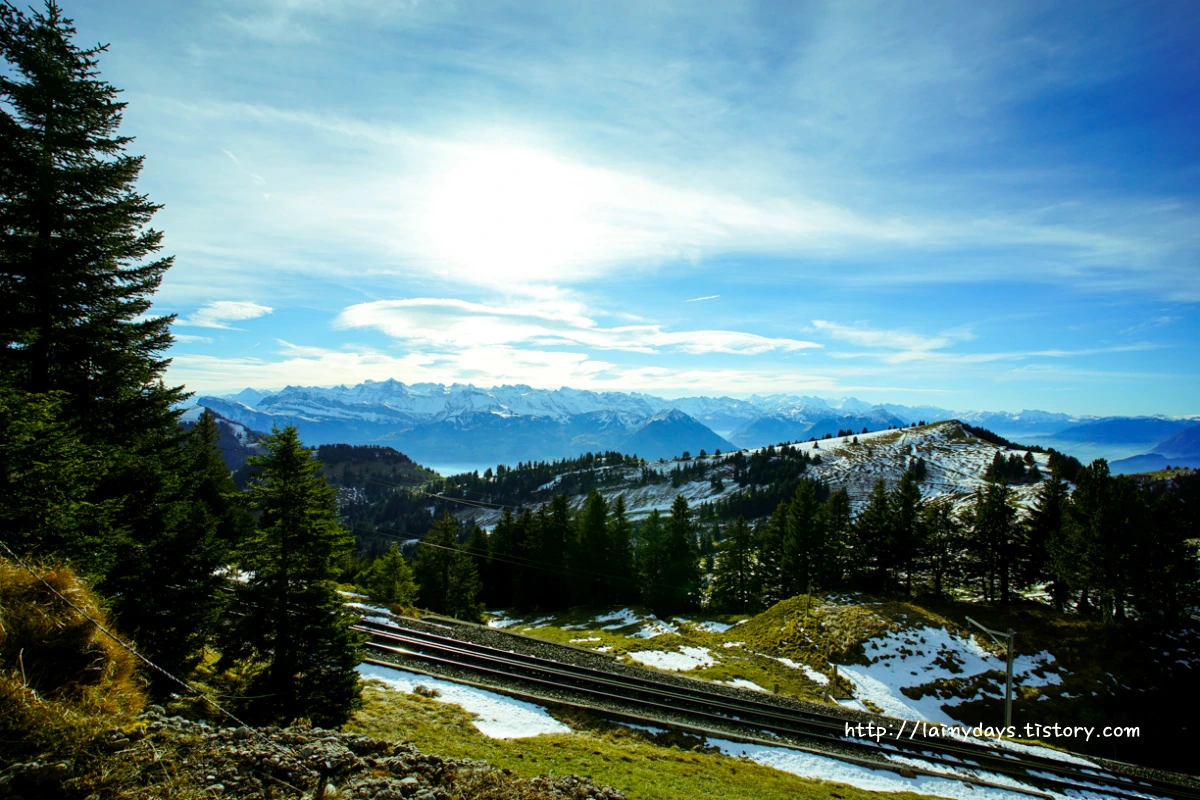 266120365546099034C791