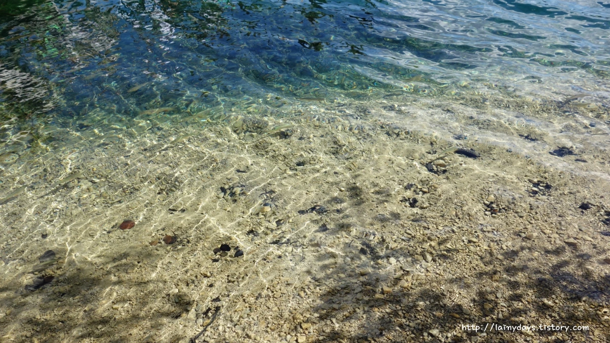 267C134A553F795E1BFD0C