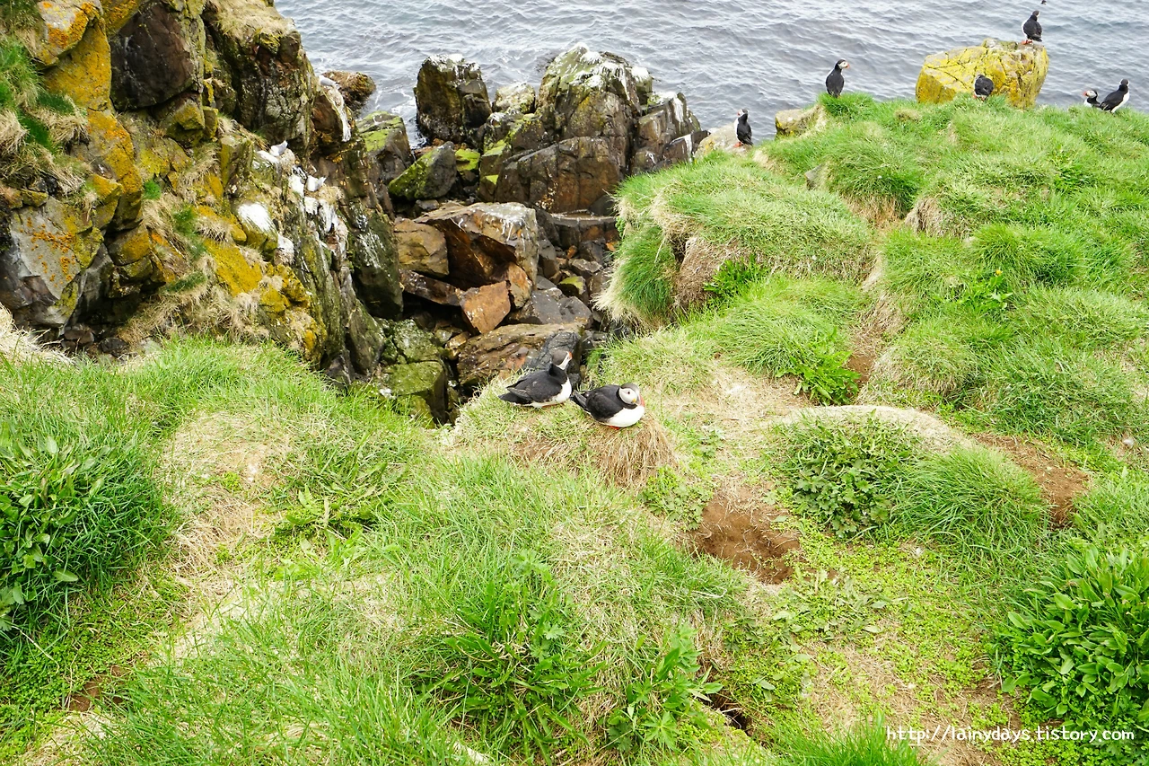 9918633359D9C7E602957A