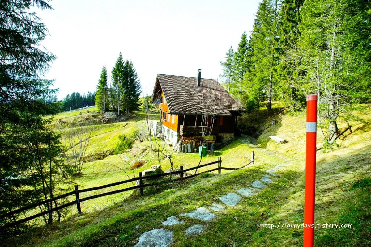 2650603A554609B42E0BC5