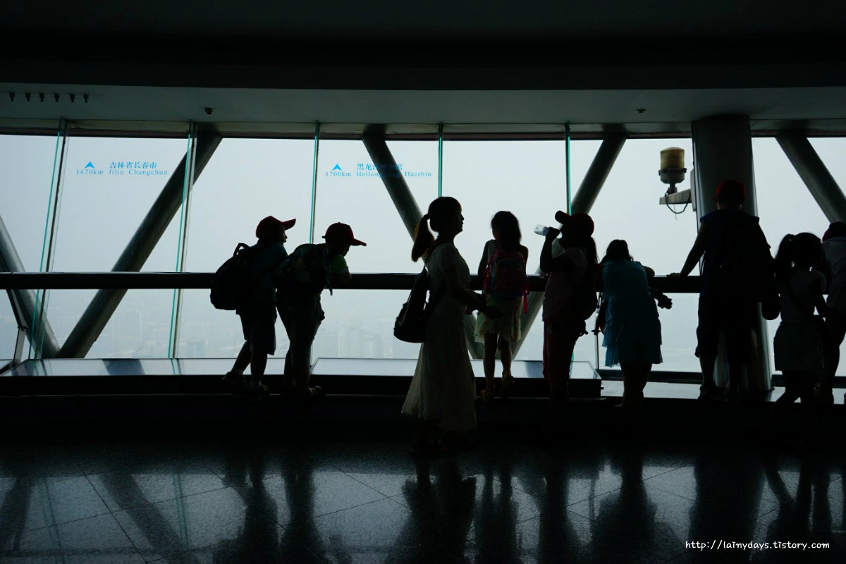 2565354755364359241DCA