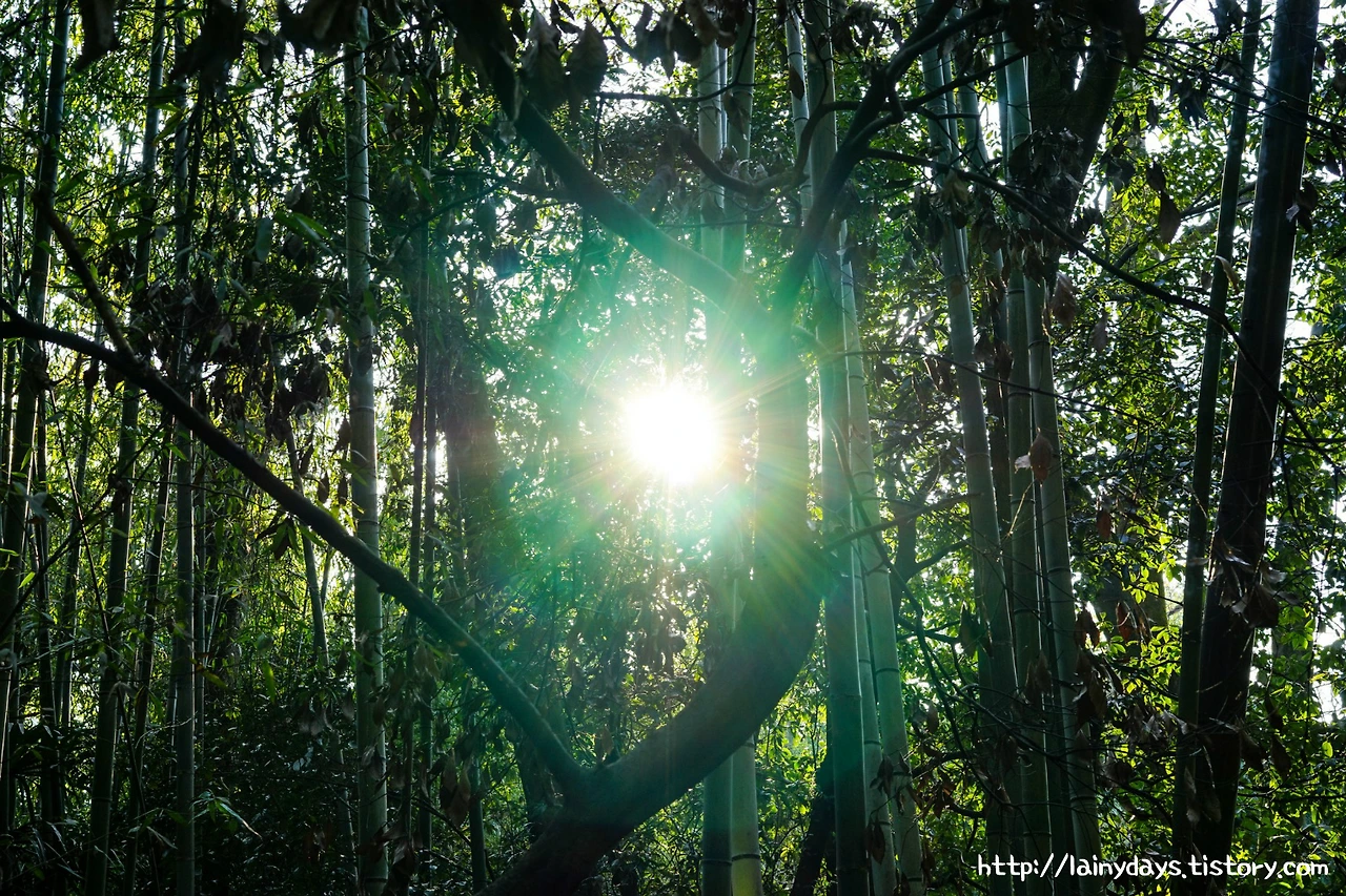 993BBE3359D724283395C5