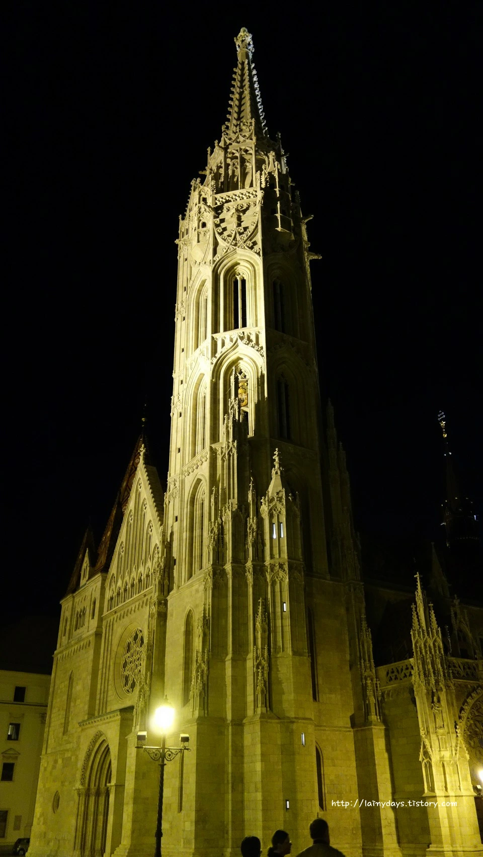 2601D63D554221631CDF0B