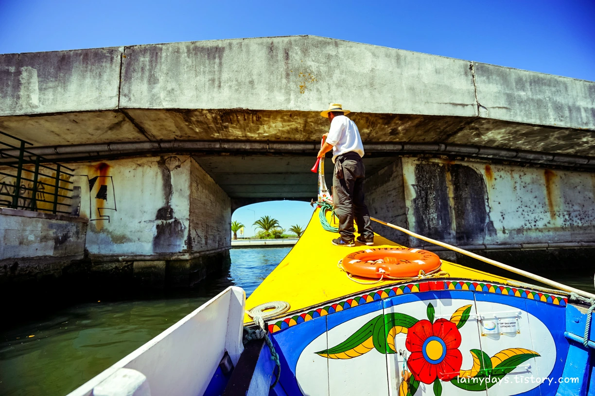 234F923555CC8AAC31690A