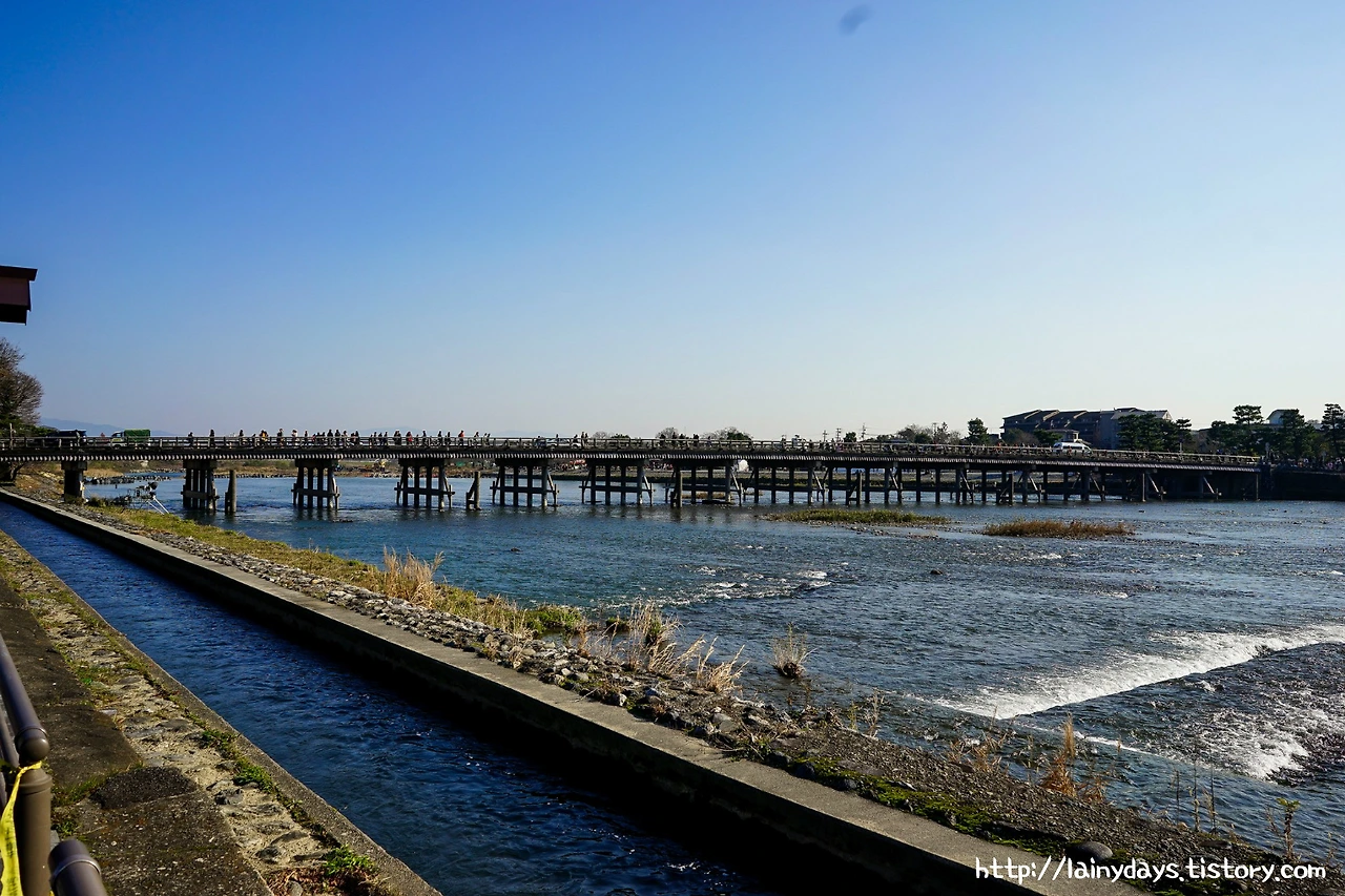 99EE183359D717C00E15A6