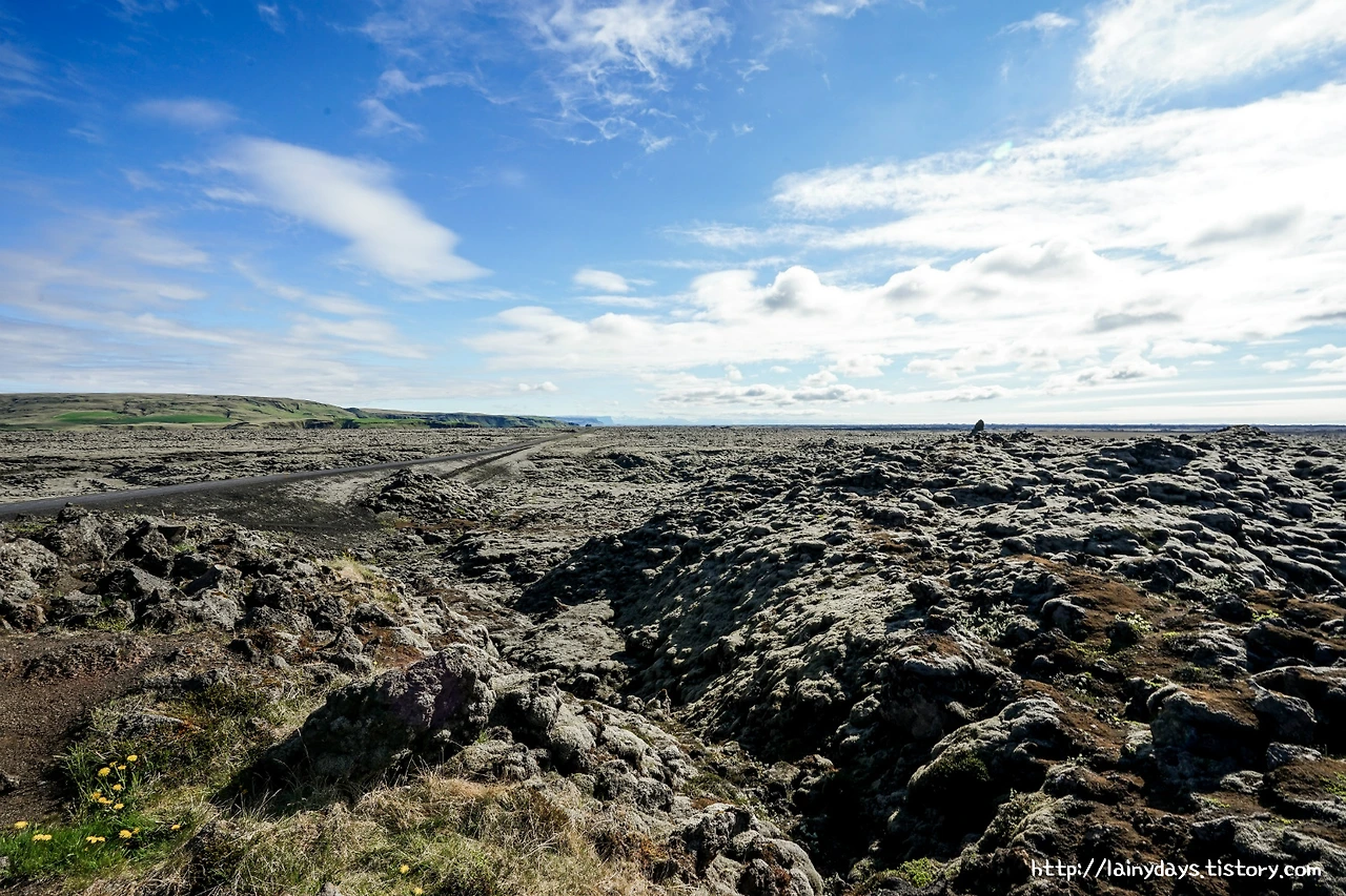 271FE84458268BCC12AC65