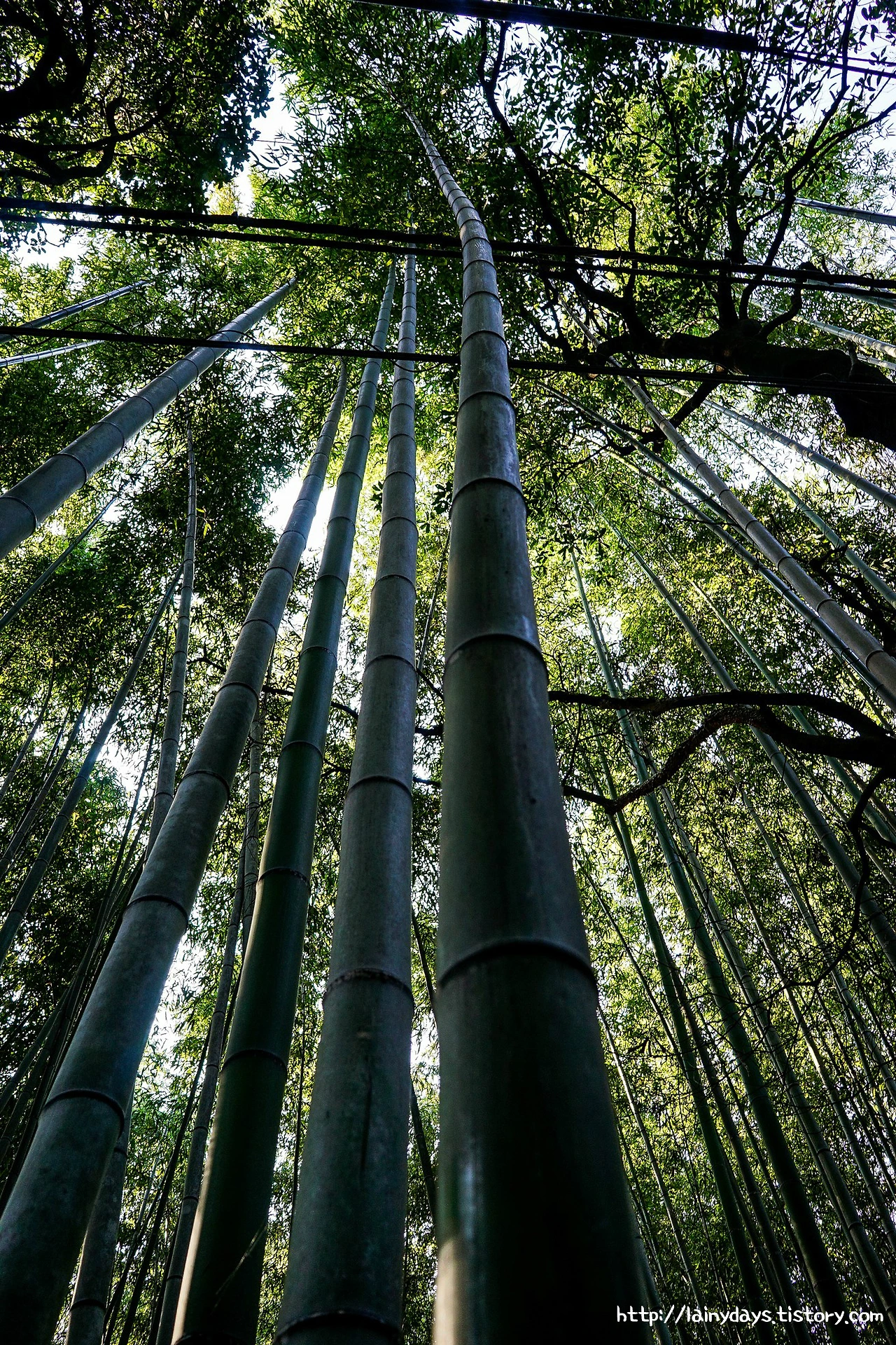 9978E03359D723FD40017E