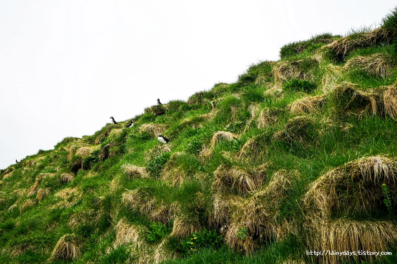 9999963359D9C7D82DC034