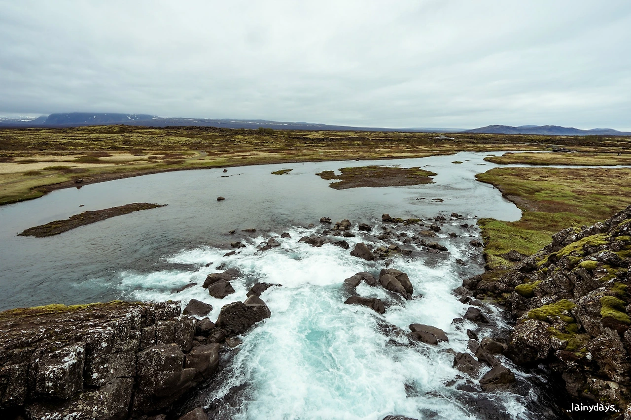 273F913F57949E38085655