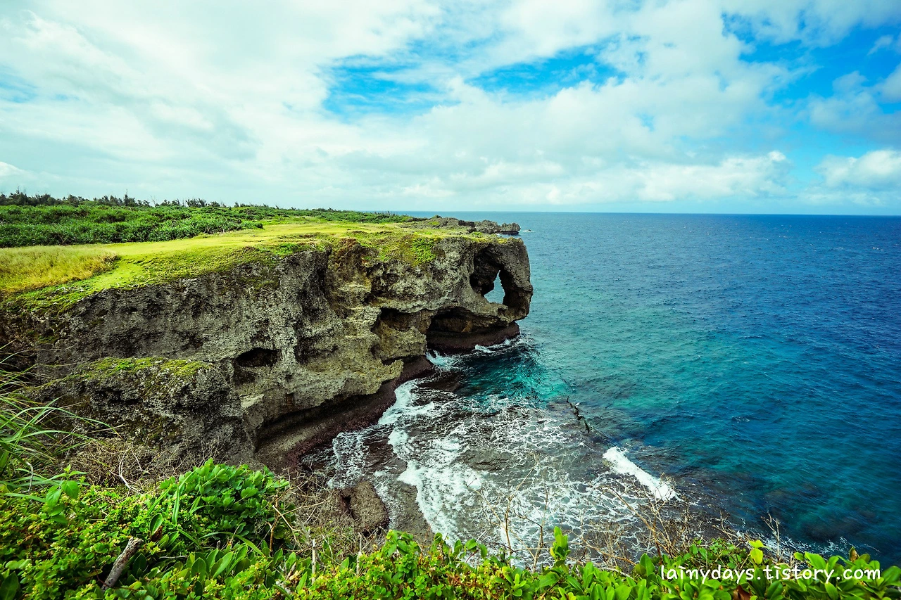 232709445803593438C1C1