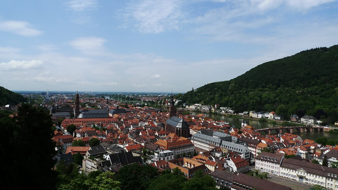 [독일_하이델베르크] 성 위에서 (9).JPG