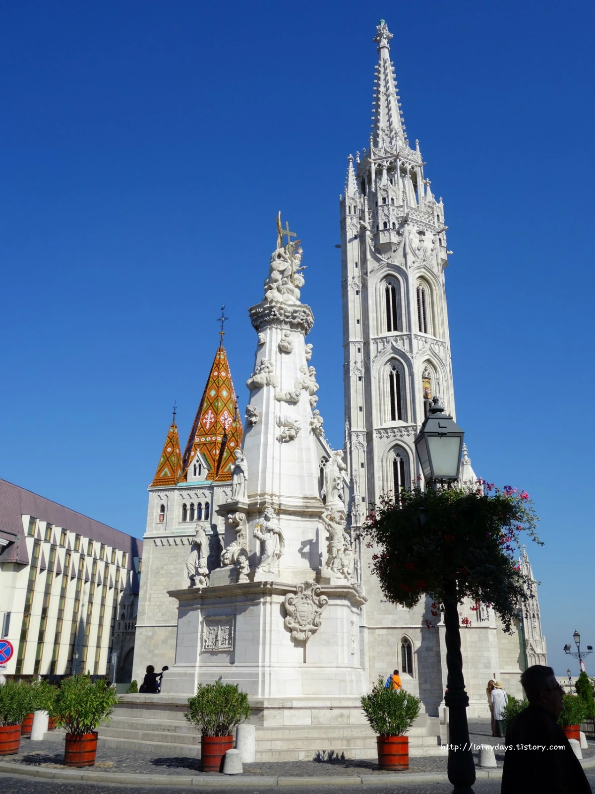 223E803C554214CA317F47