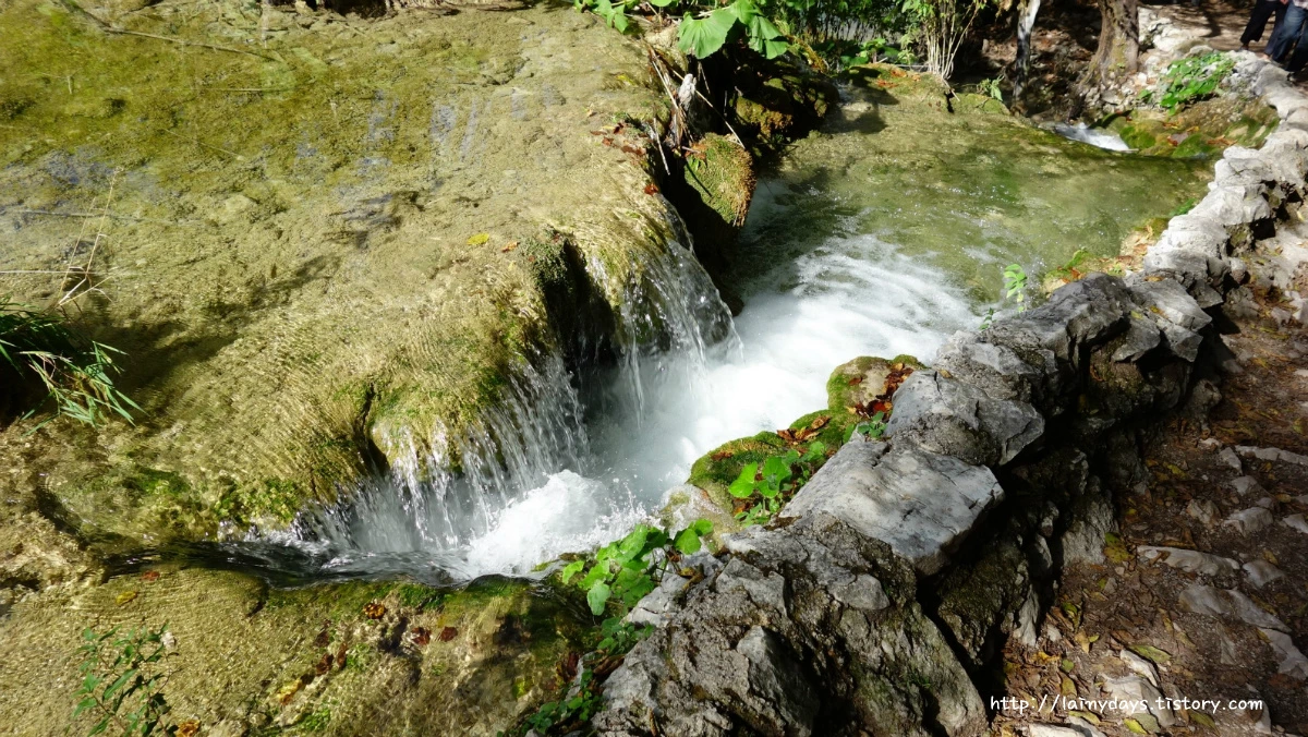 227B5D4A553F7992215BF6