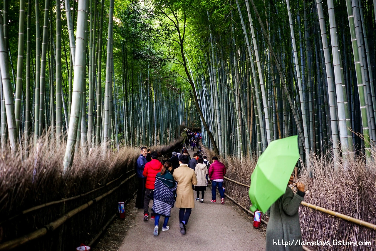 9969083359D7240F19FFEB