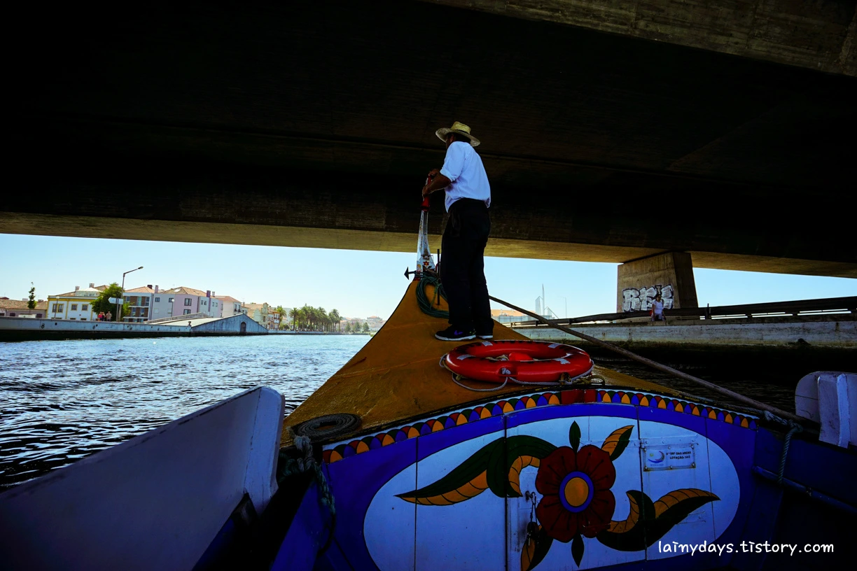 2501FB3955CC8A81221165