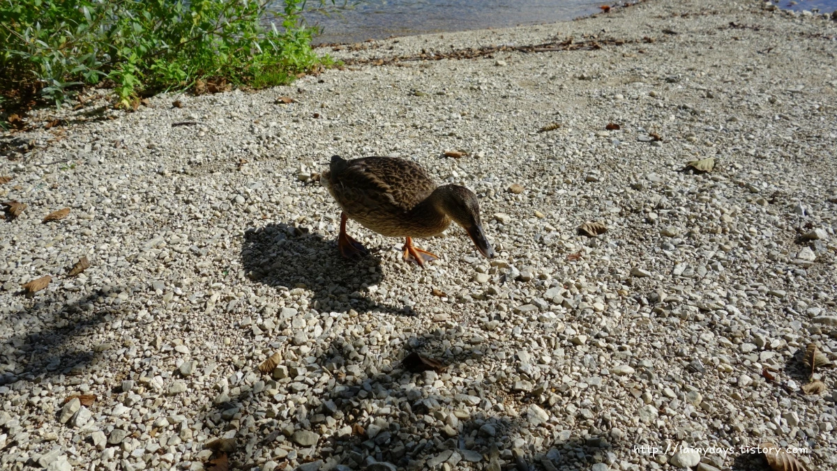 2358E24C553F796412367E