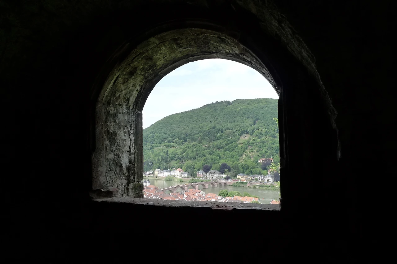 [독일_하이델베르크] 성 위에서 (5).JPG