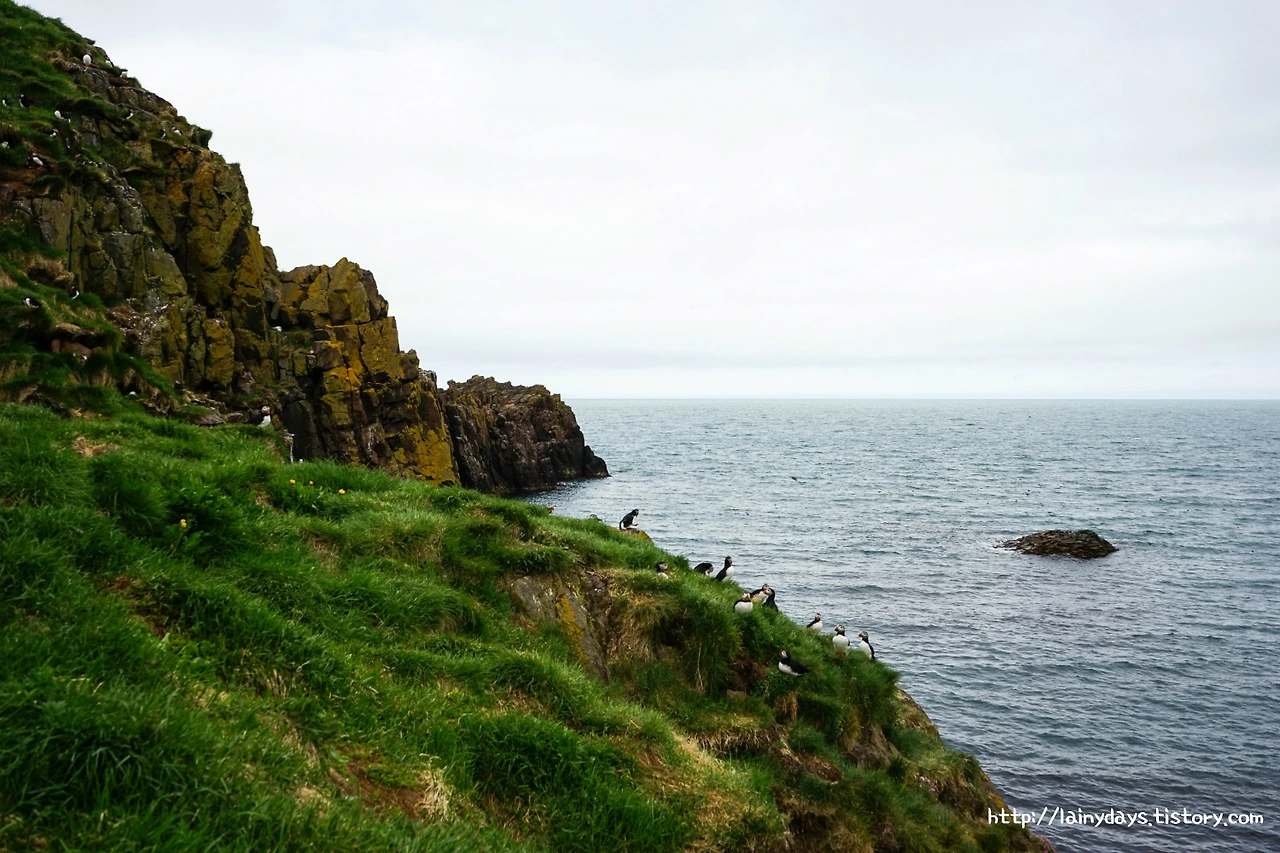 998C7F3359D9C7DD2EDFE3