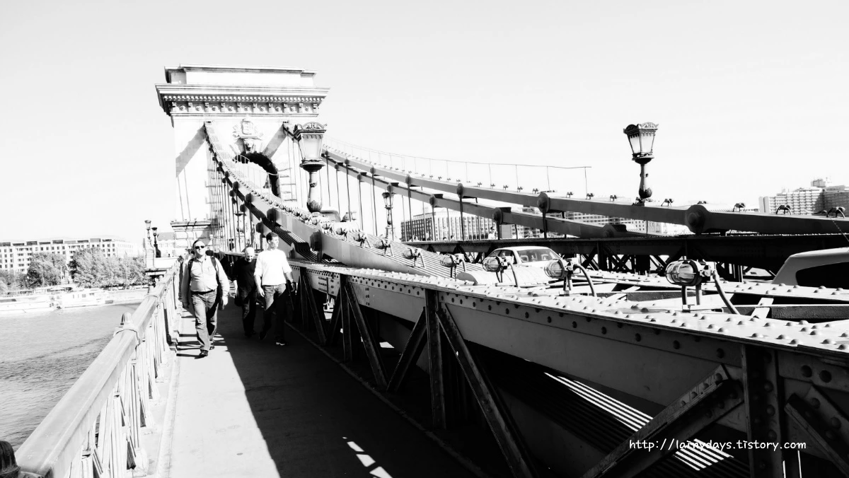 2455093955421521238D3D