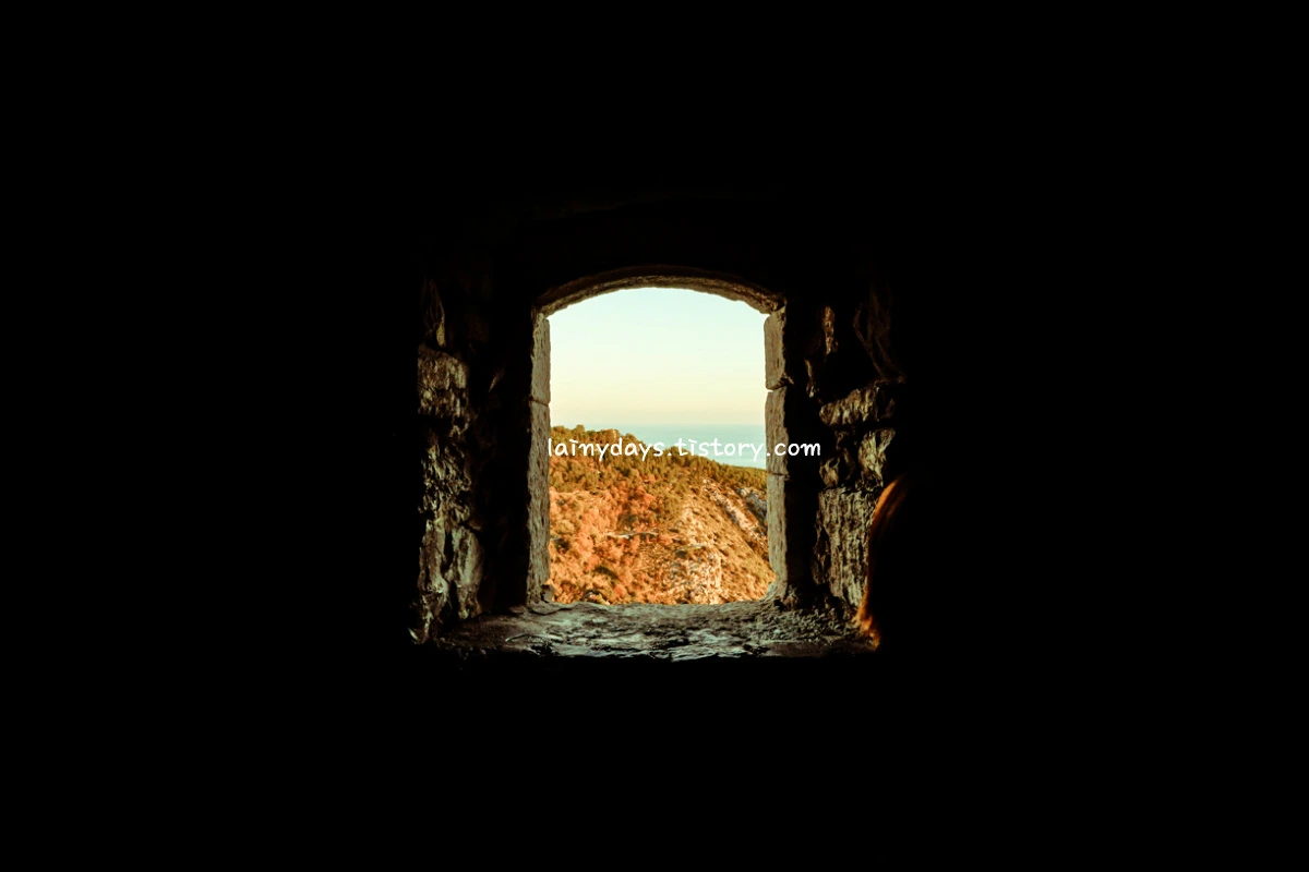 217B2E4A55867A953814D2