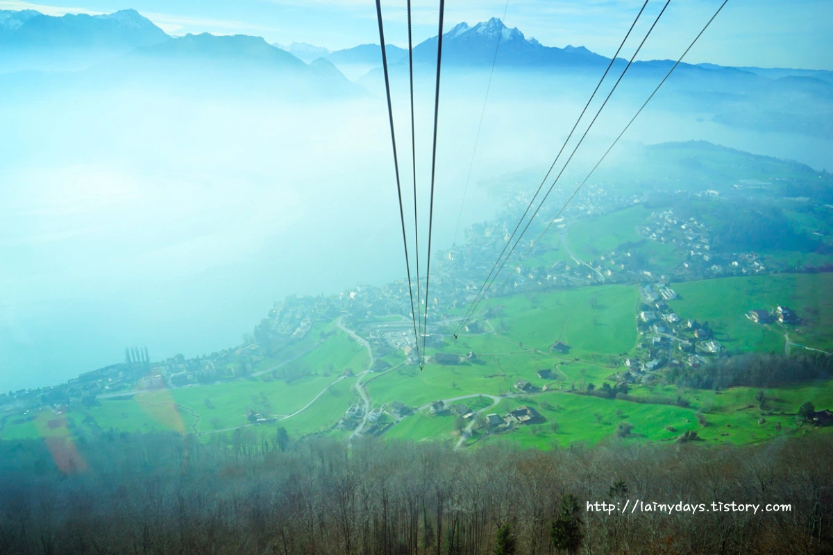 242BF03A55460A2207BEFD