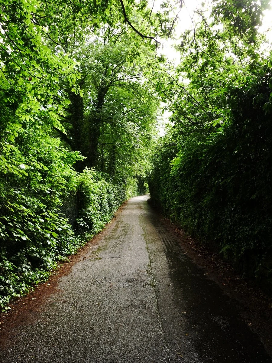 227EE541537CCEEB2B7905