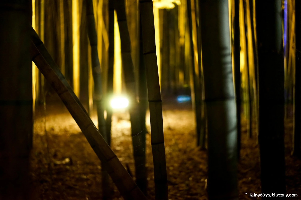 99A7653359DAC5182779EB