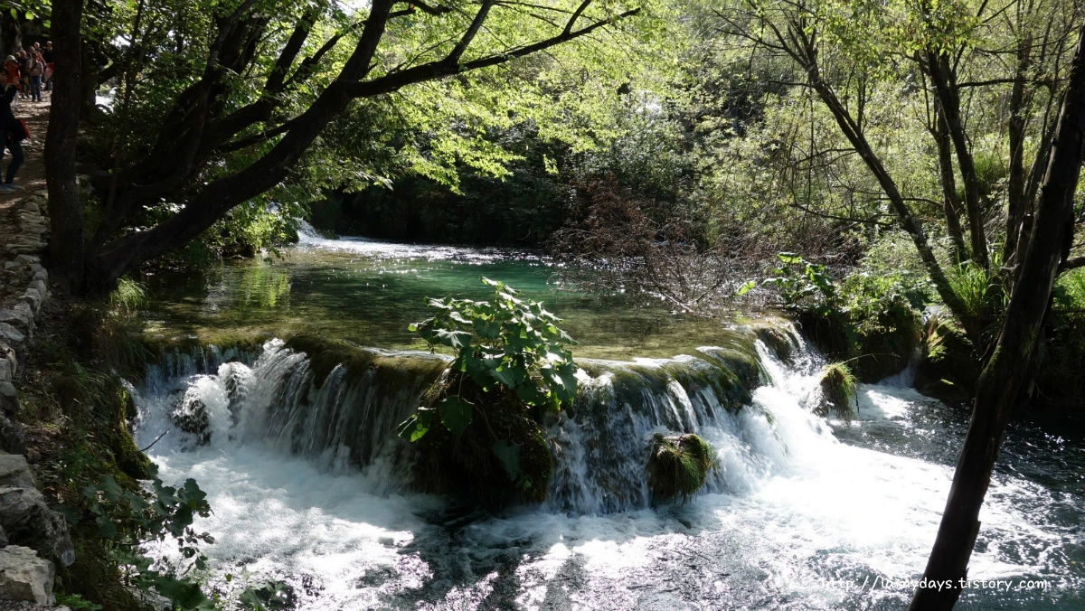 24173E4A553F79960CE312