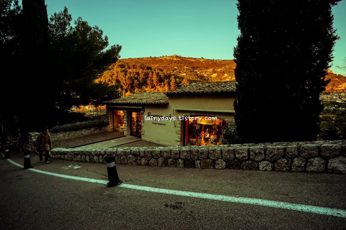 2222A64A55867A9F203C40