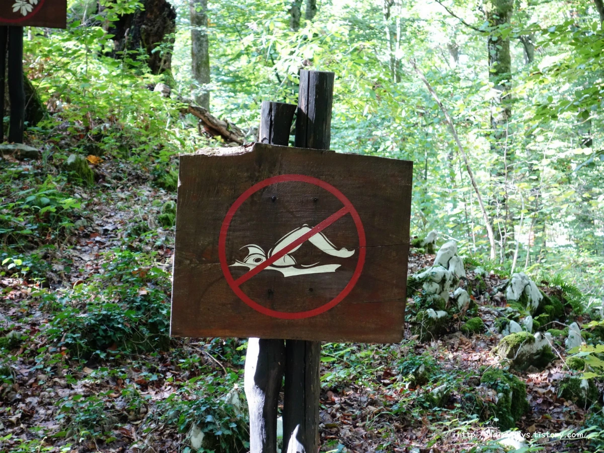 233C8F50553F79220B5040