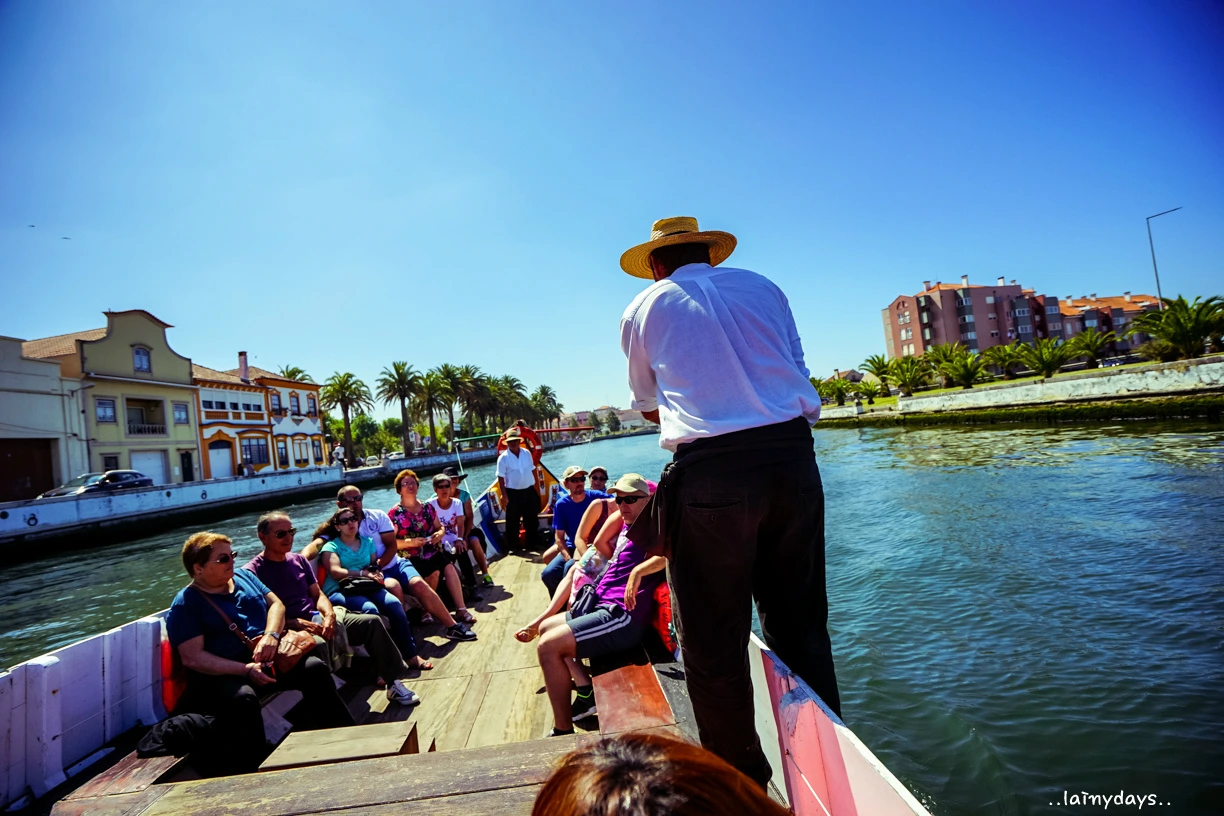 23117A4555CB6A8C2315D5